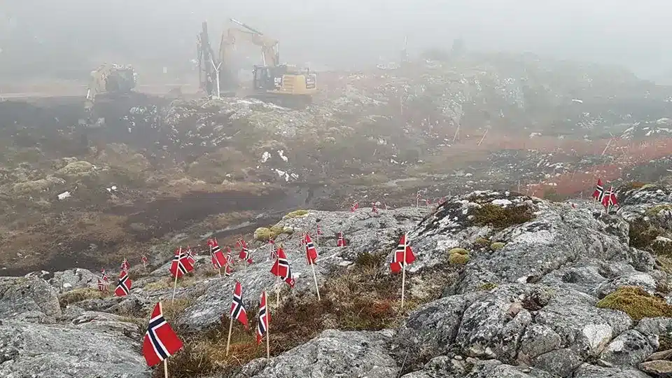 Blir Smølalirypa vår neste geirfugl? 2