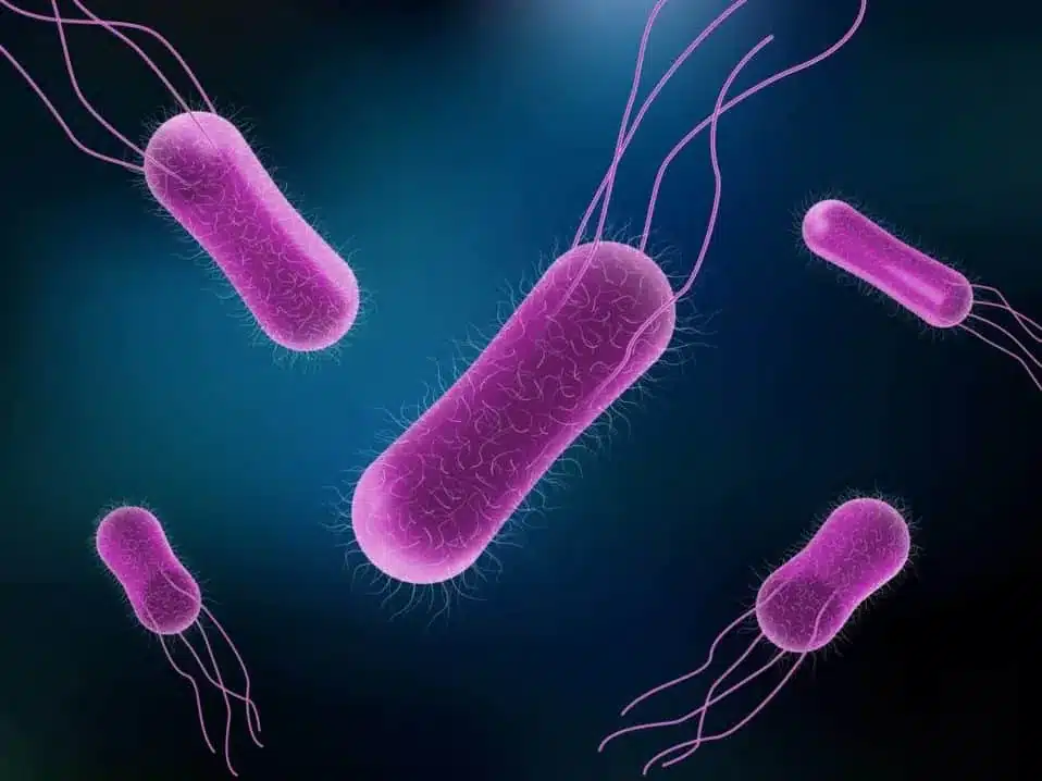 Antibiotikaresistens i GMO-avlinger: En økende bekymring 86