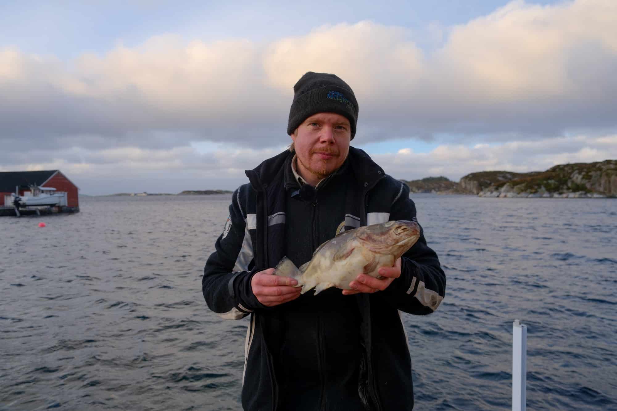 Torskeoppdrett truer havet: Kritisk fare for både villfisk og økosystem 1