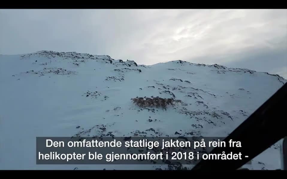 Miljøseier for Villreinen på Hardangervidda – Ny Anmeldelse etter Sjokkerende avsløring 3