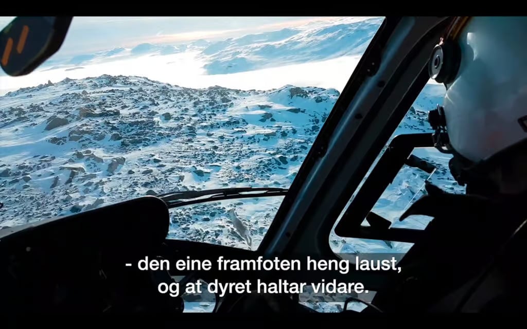Miljøseier for Villreinen på Hardangervidda – Ny Anmeldelse etter Sjokkerende avsløring 51