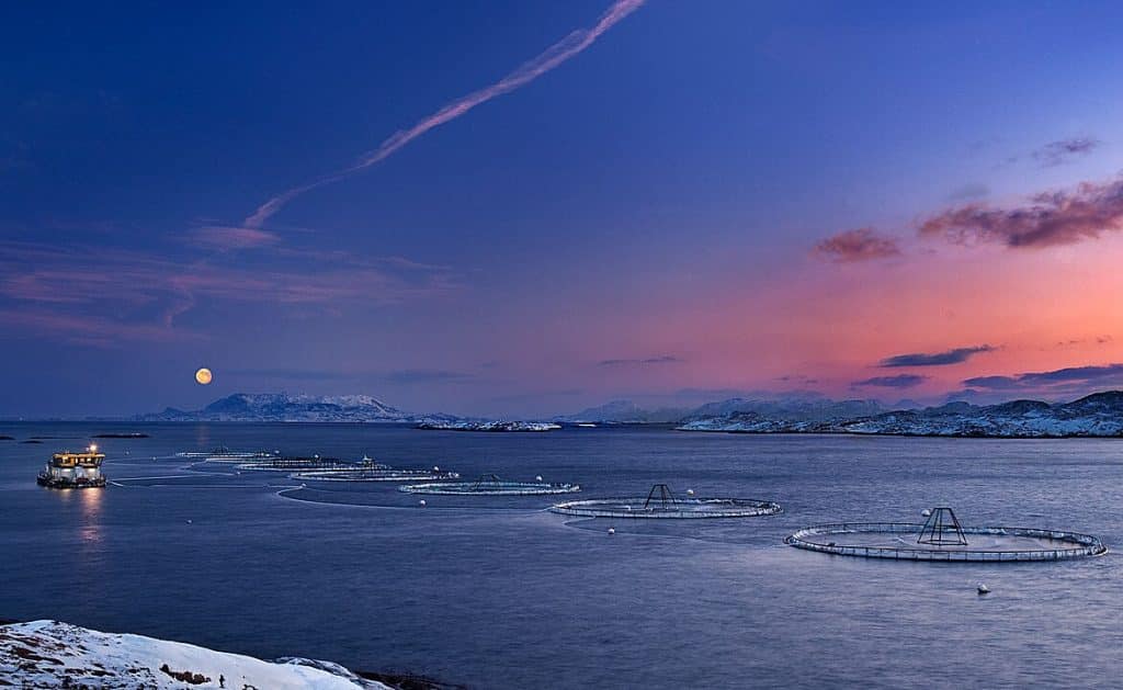 Fiskeoppdrett i Nord-Trøndelag. Foto: Steinar Johansen