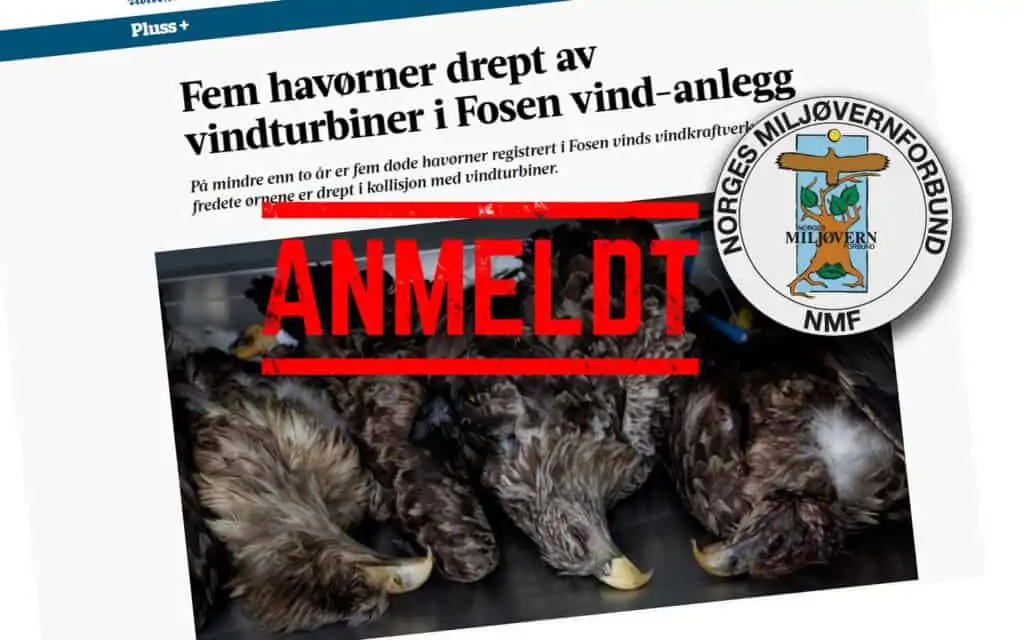 Norges Miljøvernforbund har anmeldt Fosen Vind for bevisforspillelse og tyveri av fredet rovfugl 58