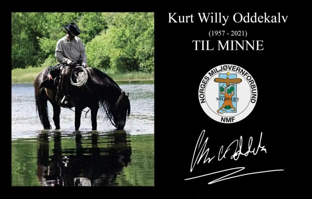 Kurt Oddekalv – Minneside 113