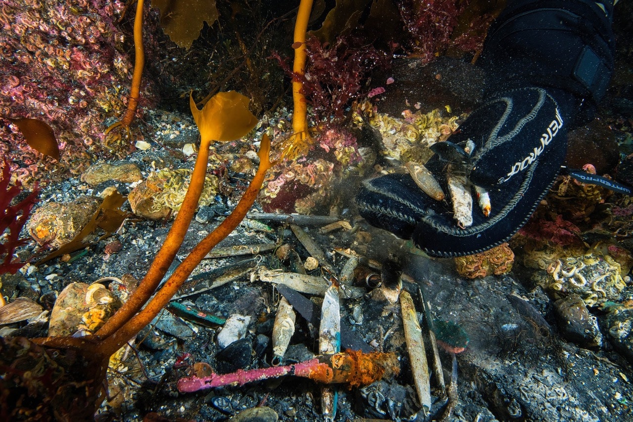 Saltstraumen og vernet som svikter et unikt økosystem 3