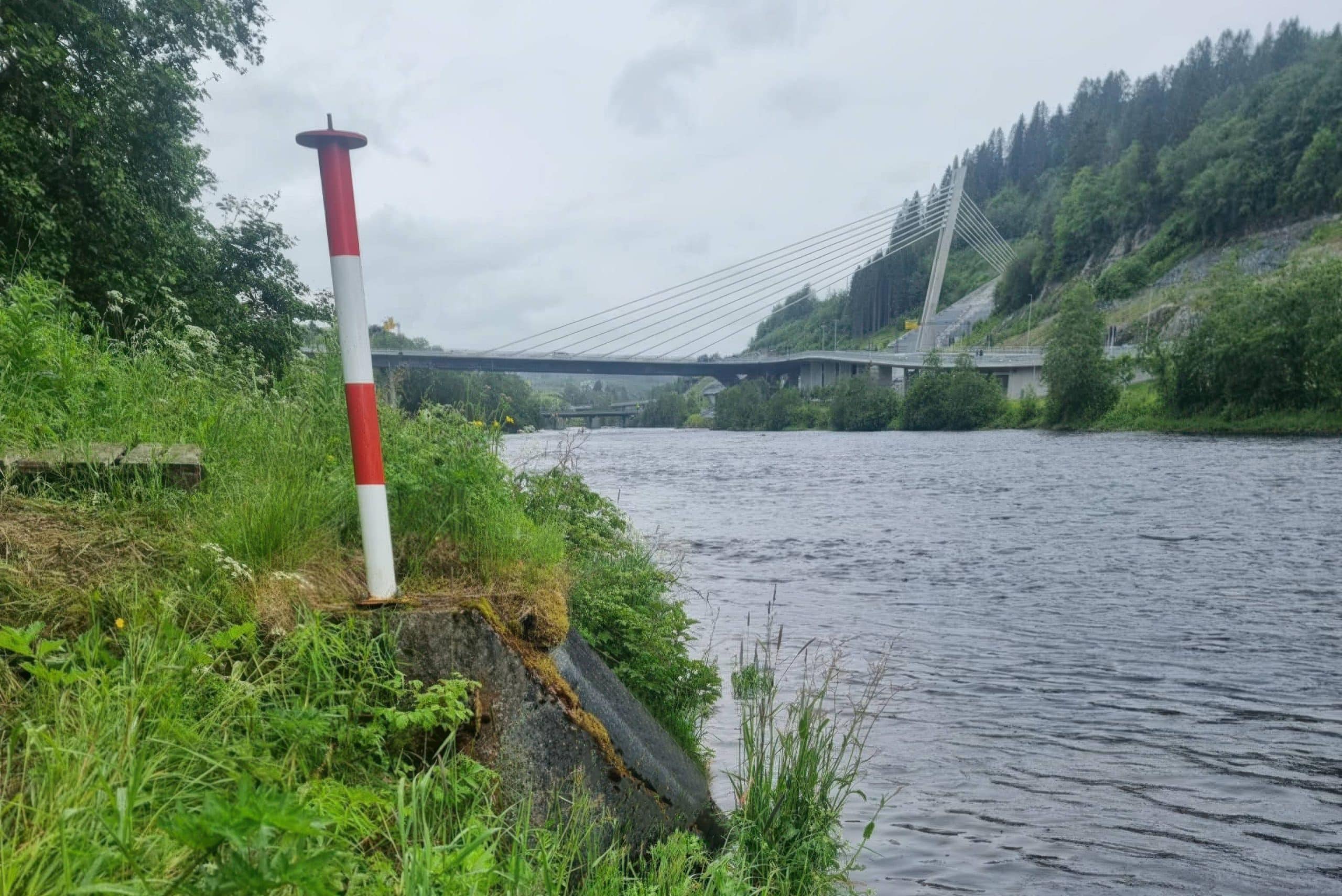 NMF Anmeldte Trondheim kommune for alvorlige kloakkutslipp 2