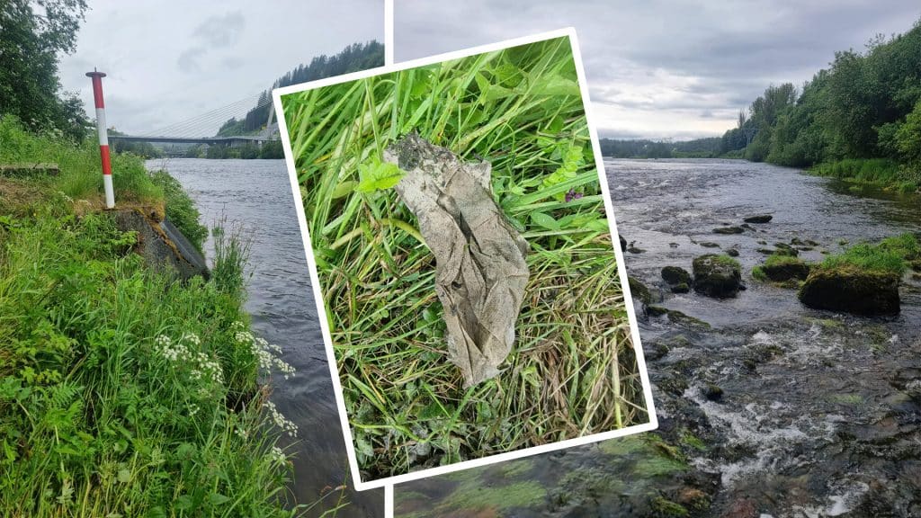 NMF Anmeldte Trondheim kommune for alvorlige kloakkutslipp 71