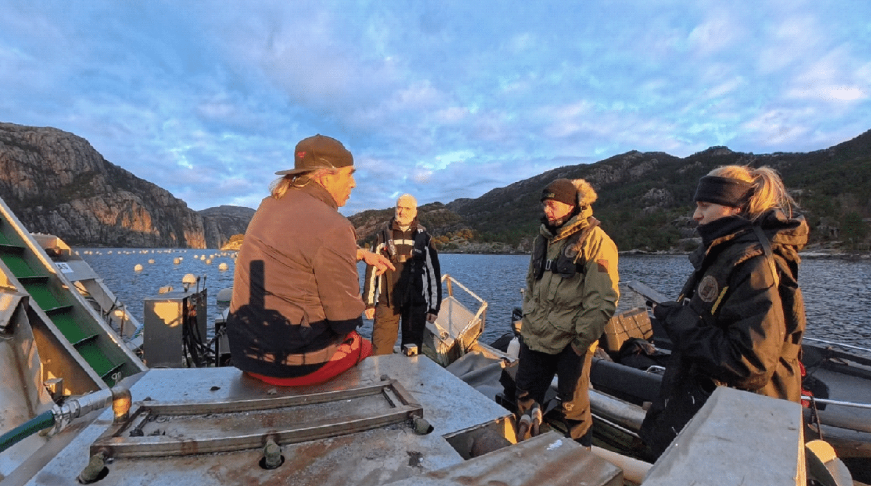 Oppdrett knyttes til dødelig påvirkning på marint liv - Alvorlige miljøskader i Lysefjorden 8