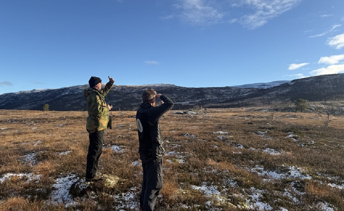 Eidfjord Resort og hyttepresset i Sysendalen: En egotripp og et veiskille for villreinen på Hardangervidda 1