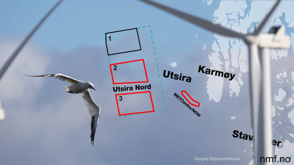 NMF er svært negativ til havvindplanene på Utsira Nord – en katastrofe for miljøet 1