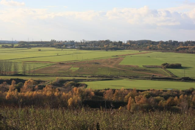 Landbruk