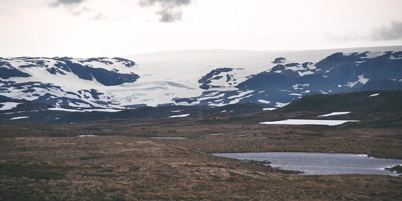 Søppelbål